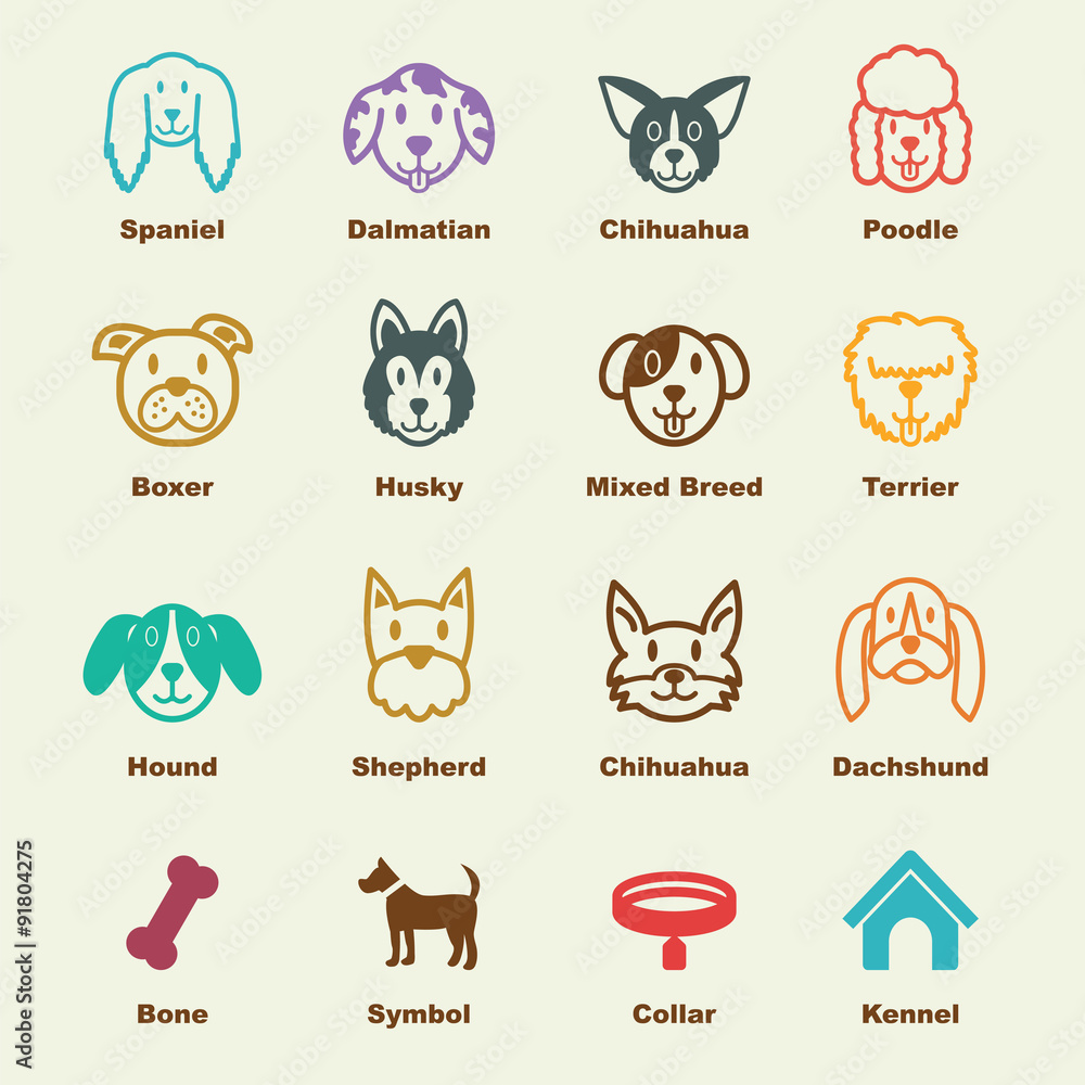 Fototapeta premium dog elements