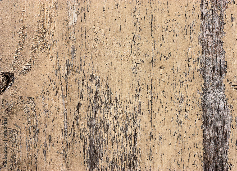 Fototapeta premium Wood surface