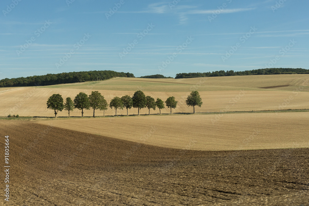 farmland of central France between Paris and Dijon