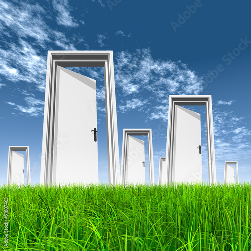 White door in grass with sky background