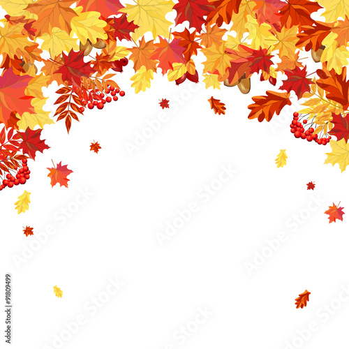 Autumn Leaves  Frame