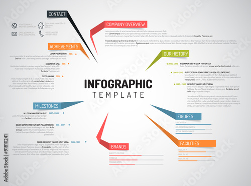 Vector Company infographic overview design template