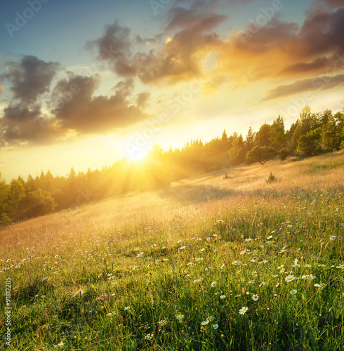 Field in mountains during sunrise. Natural landscape