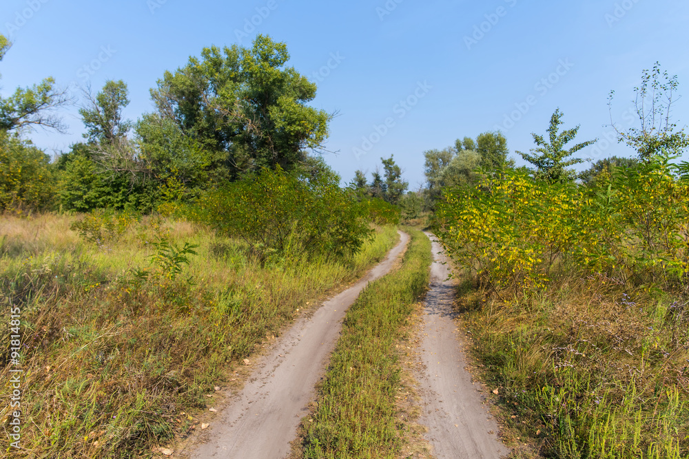 rural ground road through a countryside