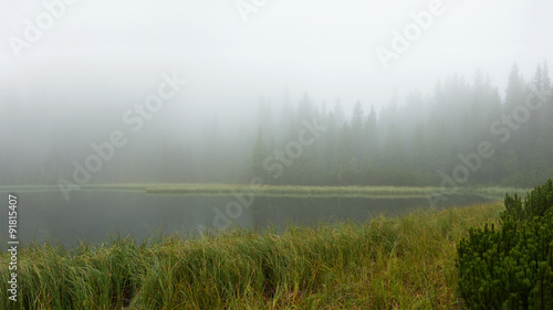 The lake in the fog