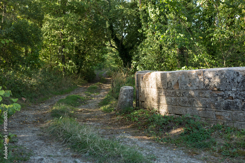 country road in rural France near Dijon