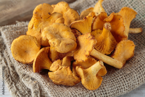 cantharellus mushrooms