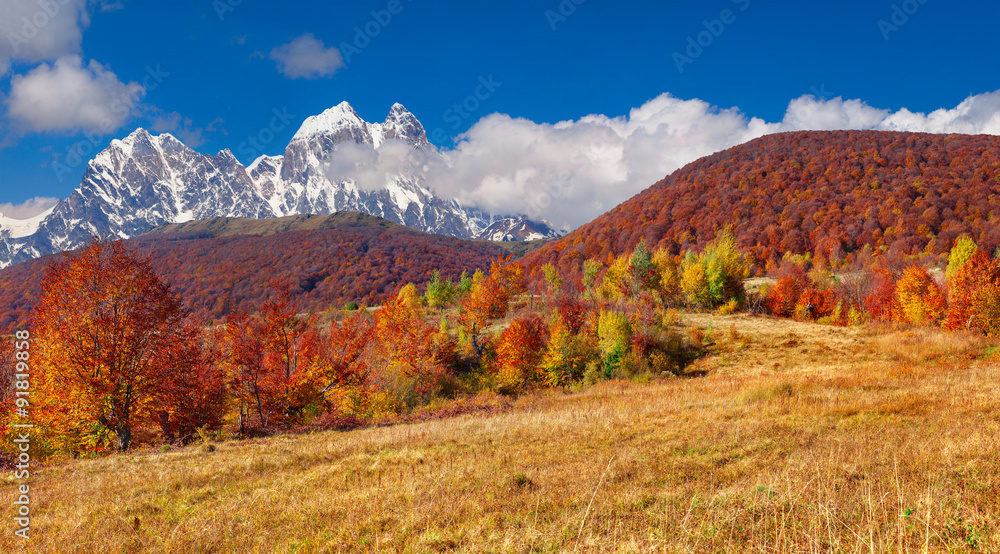 Naklejka premium Colorful winter sunrise in the Carpathian mountains.