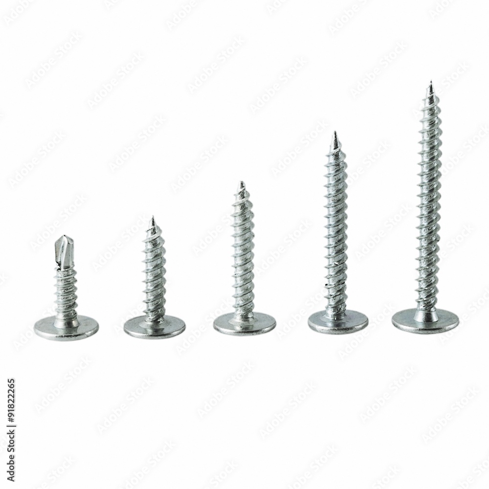 building screws isolated on a white background building screws isolated on a white background