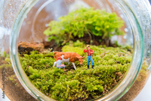 Miniature people and a cow are in the Terrarium. photo