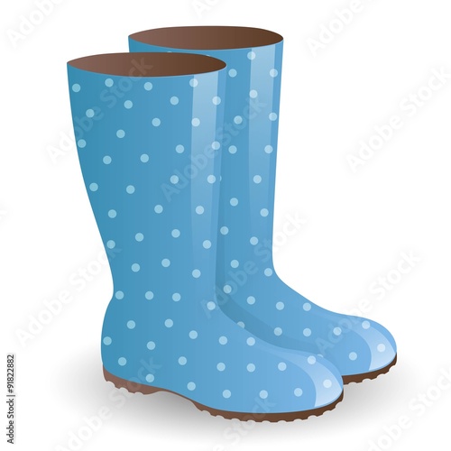 Vector Illustration of Gumboots