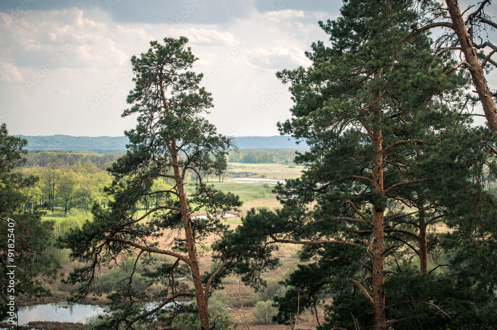 Fototapeta premium dramatic landscape