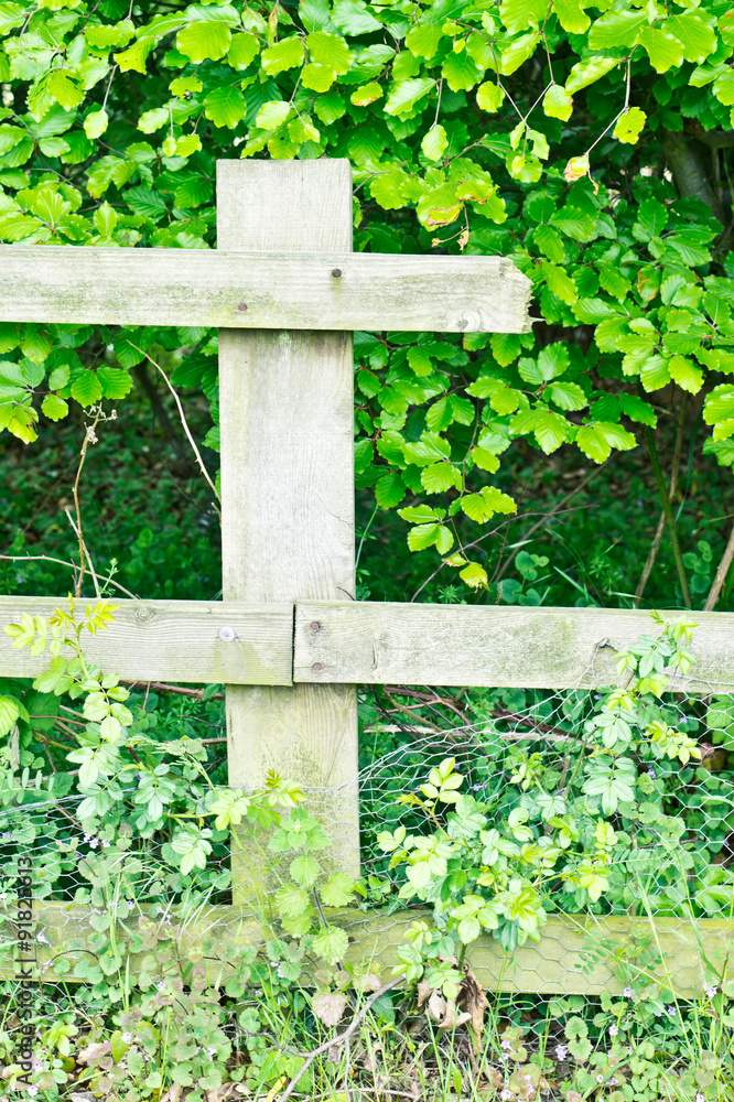 Broken fence Broken fence