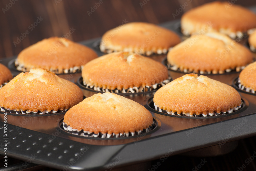 Plain Cupcakes In Baking Tray Plain Cupcakes In Baking Tray