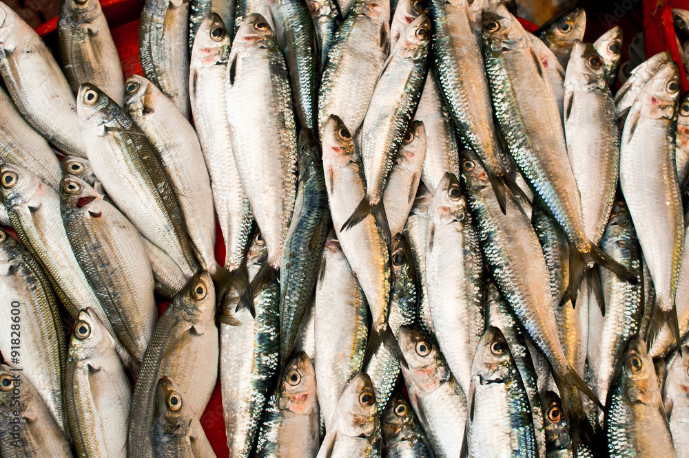 Fototapeta premium Fresh fish