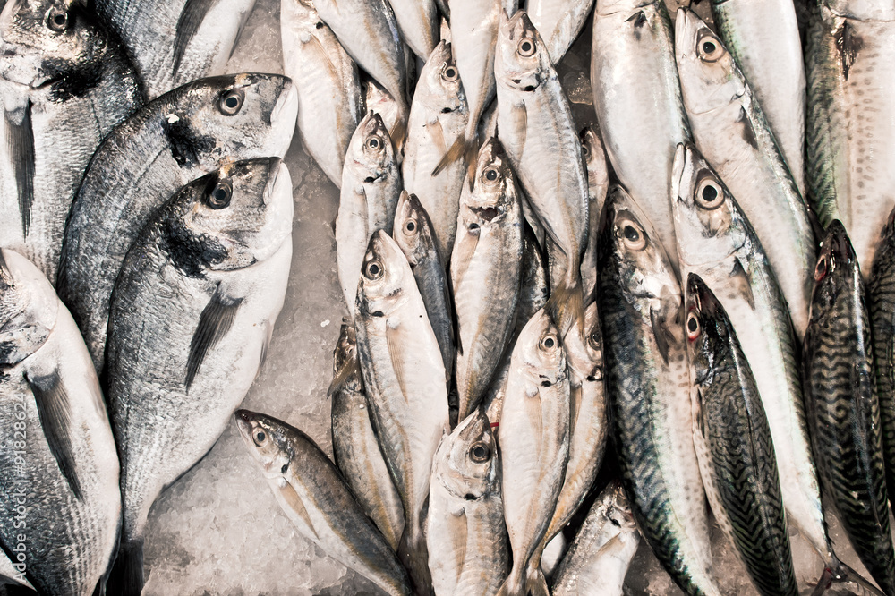 Obraz premium Fresh fish