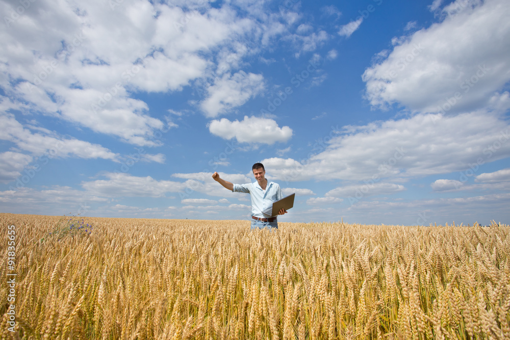 Businessman in the field Businessman in the field
