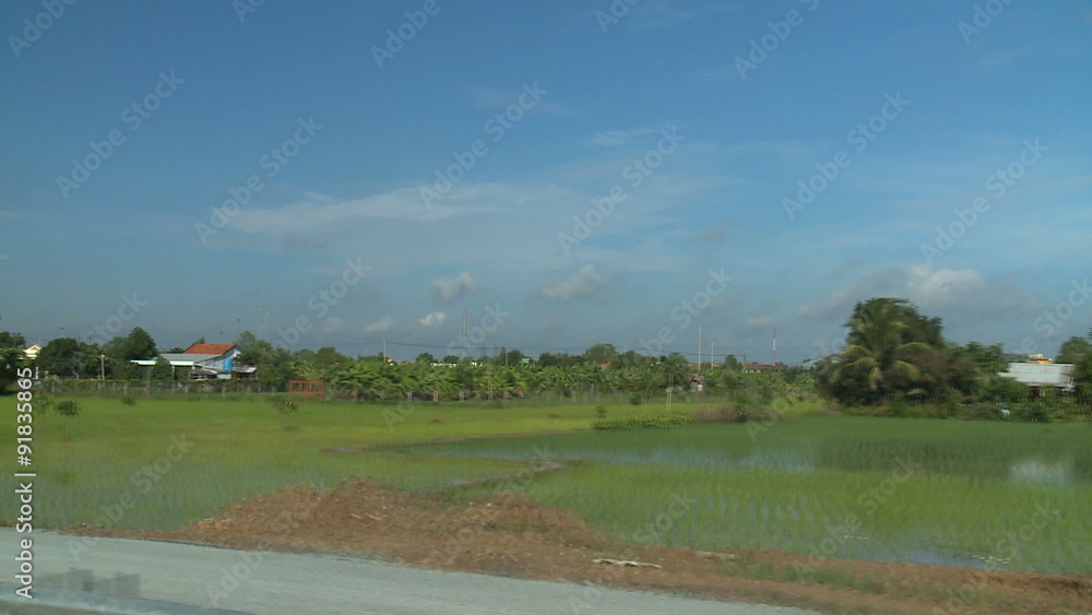 Rice paddies & farmland south of Saigon POV Rice paddies & farmland south of Saigon POV