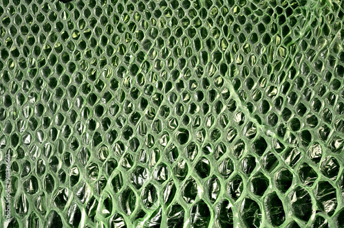 Foto Cobra shedding skin
