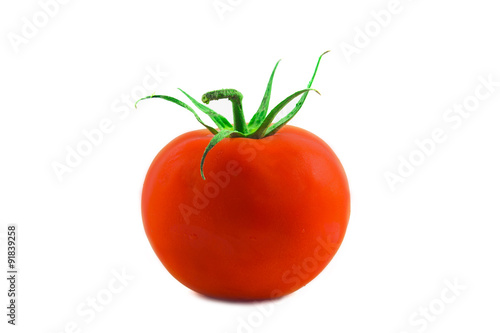 Beyaz arka plan üzerinde domates.