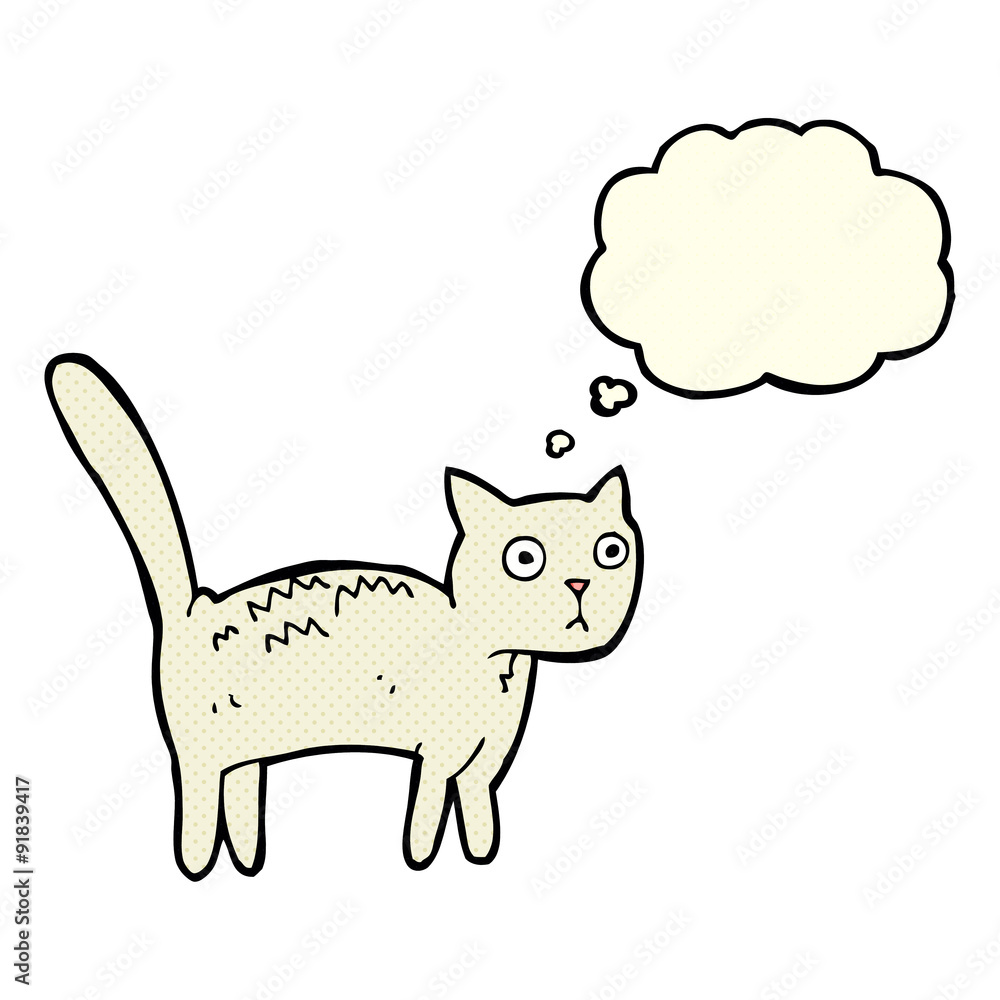cartoon frightened cat with thought bubble cartoon frightened cat with thought bubble