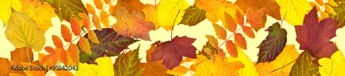 goldener Herbst, fallende Blätter 