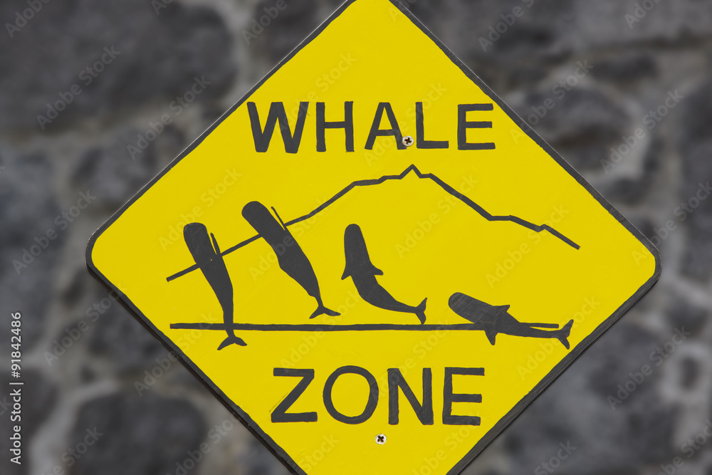 Naklejka premium Whale watching signpost and blurred background in Azores. Portug