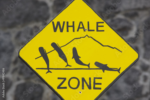 Whale watching signpost and blurred background in Azores. Portug