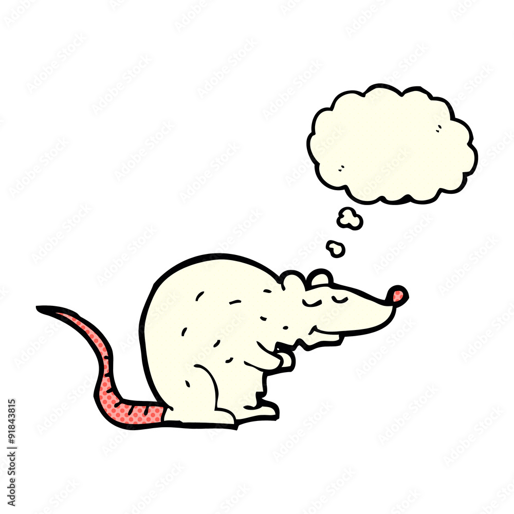 cartoon rat with thought bubble cartoon rat with thought bubble