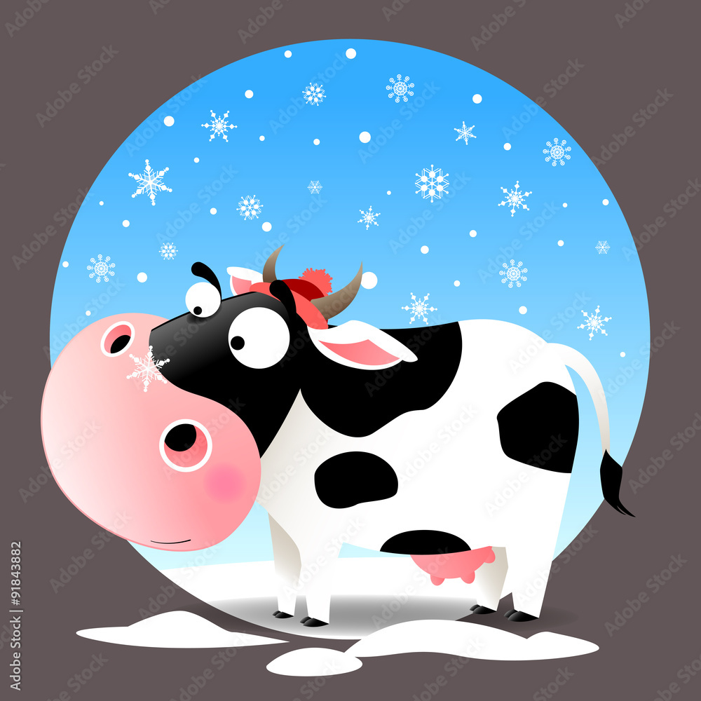 Cow in snow with snowflake on nose