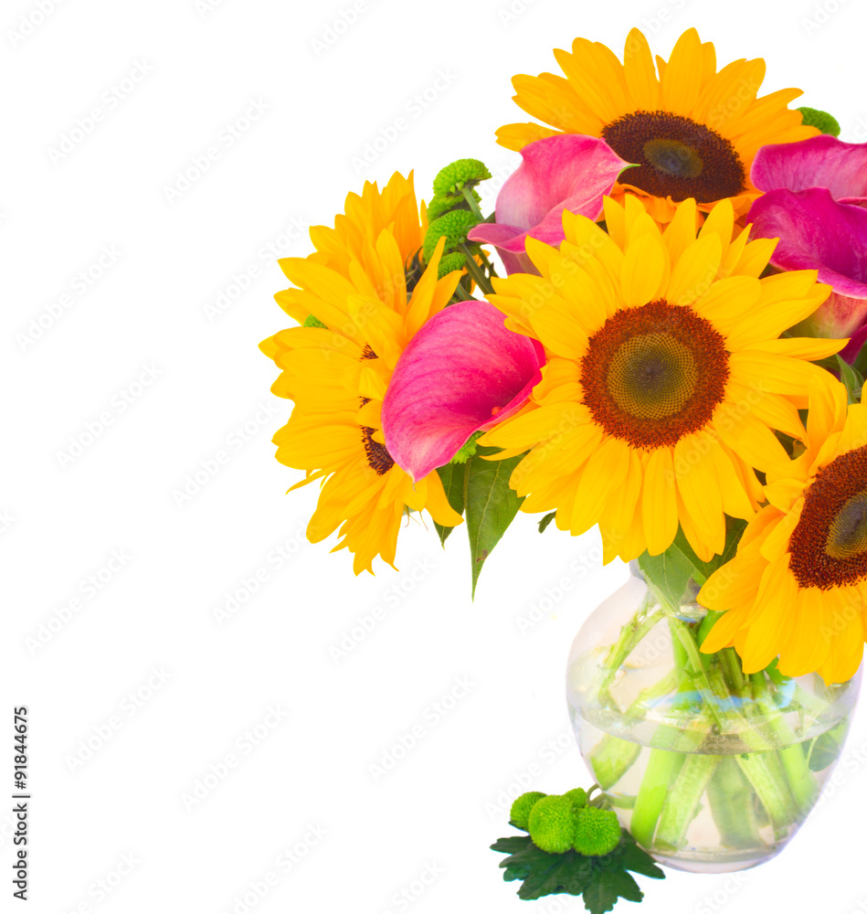 Obraz premium one bight sunflower