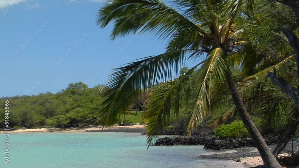 A black sand beach and palms line a tropical island. A black sand beach and palms line a tropical island.