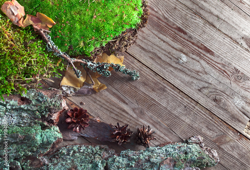  moss on wooden table