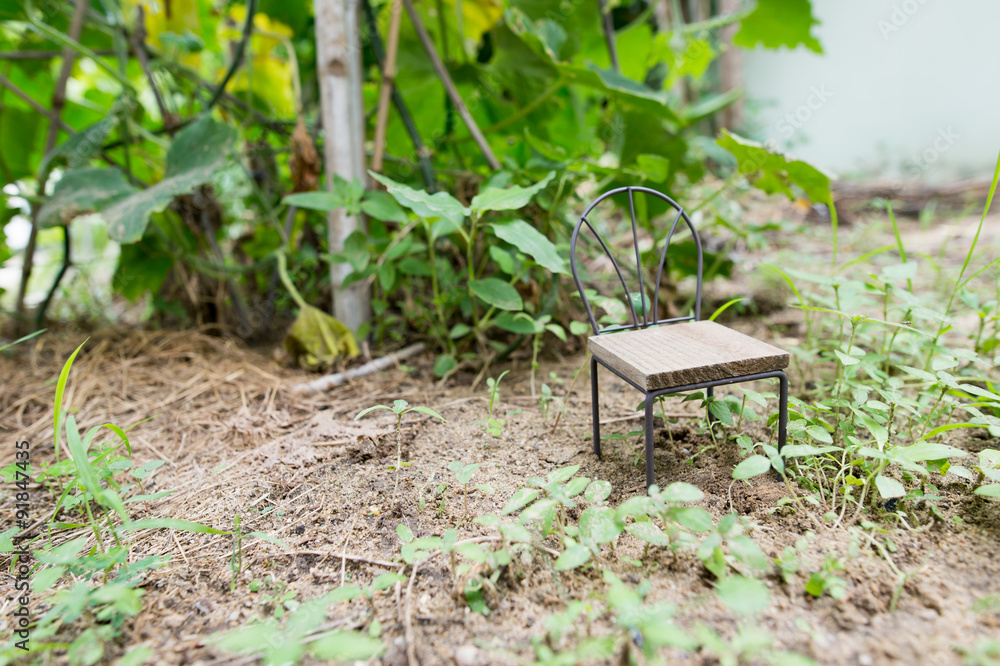 Chairs placed in a small garden