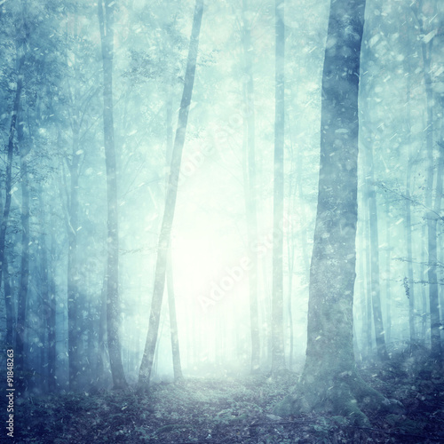 Dreamy snowfall in magical blue colored foggy forest. Beautiful Christmas and New Year Holiday winter snowy forest landscape. Heavy snowfall in magic foggy forest.