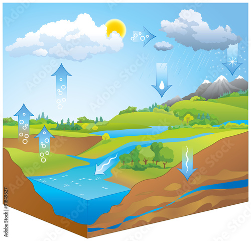 Water Cycle. Vector diagram