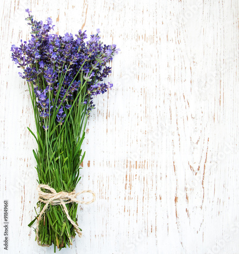 lavender flowers