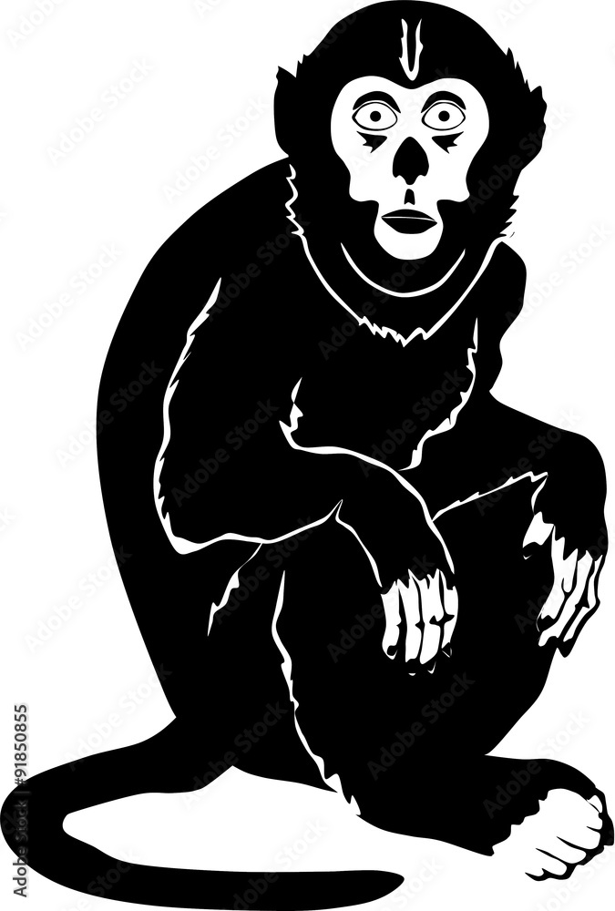 Fototapeta premium Black silhouette of a monkey sitting on a tree