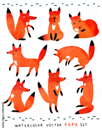 Cute watercolor foxy set