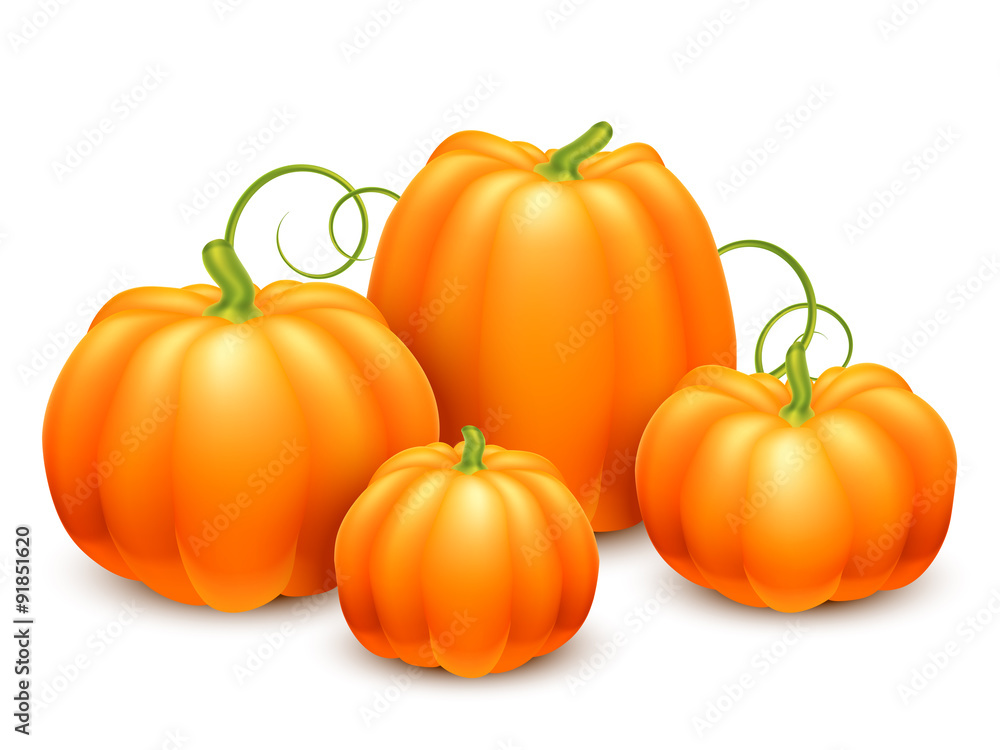 Bunch of Pumpkins Bunch of Pumpkins
