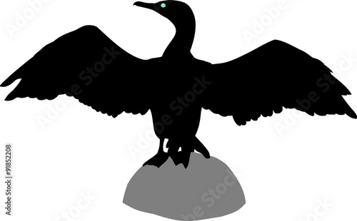 silhouette of cormorant