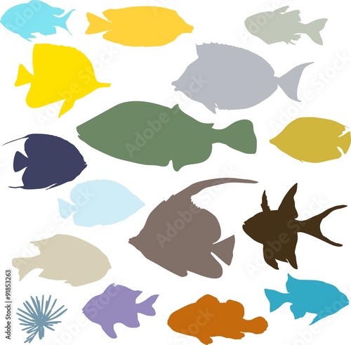 colorful fish silhouettes set