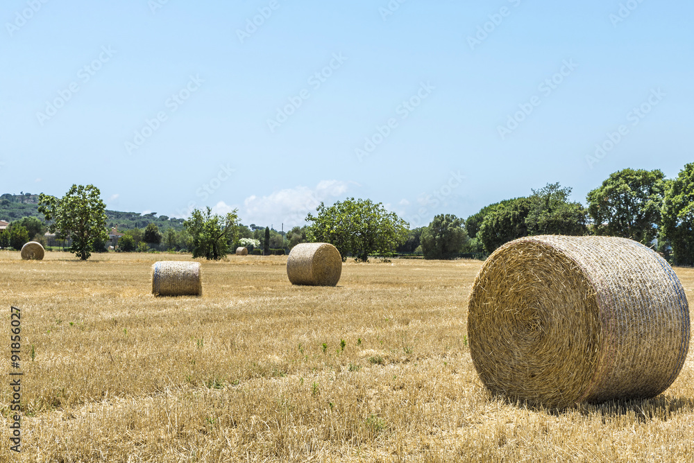 Scattered bales of straw