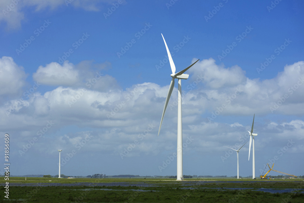 Fototapeta premium Green energy ecology windmill field sky background