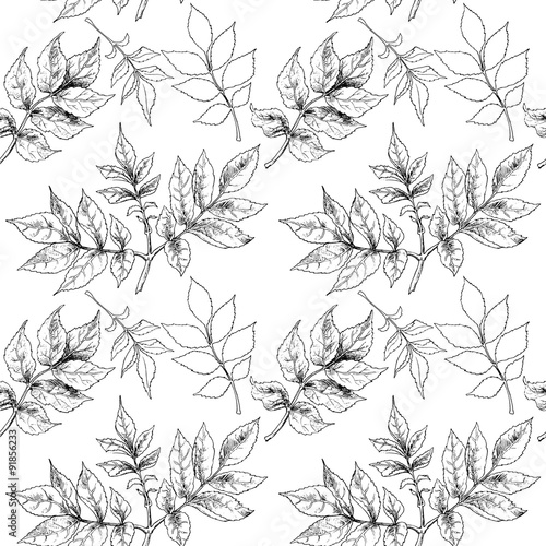 Hand drawn autumn leaves