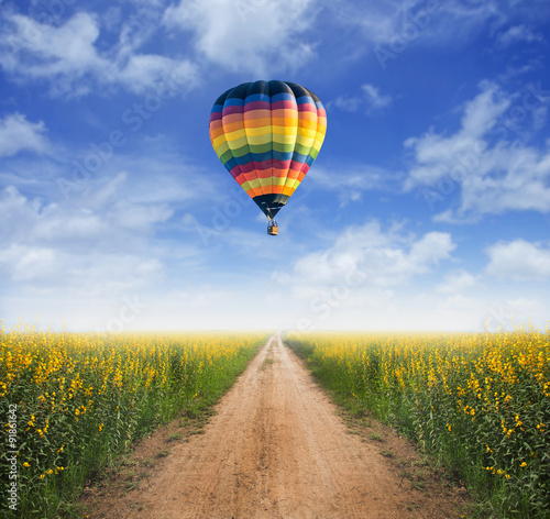 Hot air balloon above dirt road into yellow flower fields