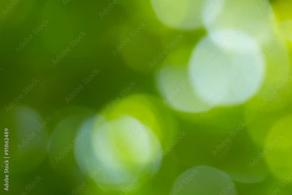 Sunny abstract green nature background Sunny abstract green nature background