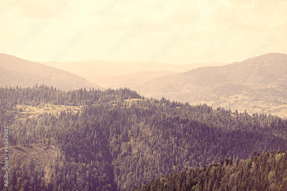 Obraz premium View on Ukrainian Carpathian mountains.