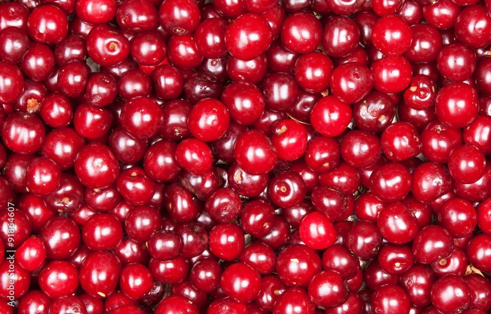 red cherry red cherry