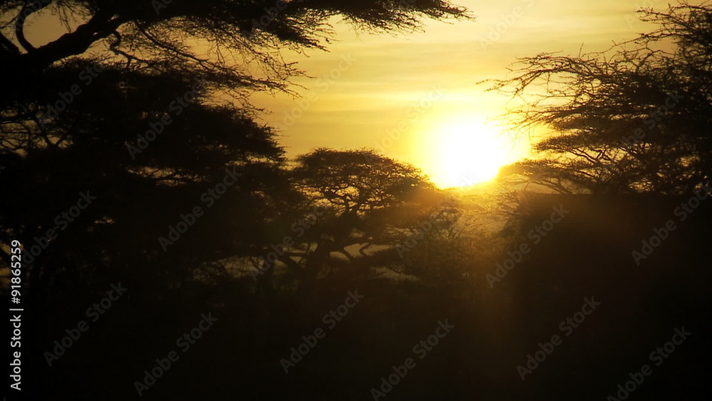 Serengeti sunrise ZM out